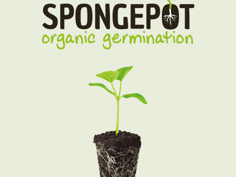 Spongepot Logo by web design costa blanca